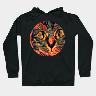 Alert floppy cat Hoodie